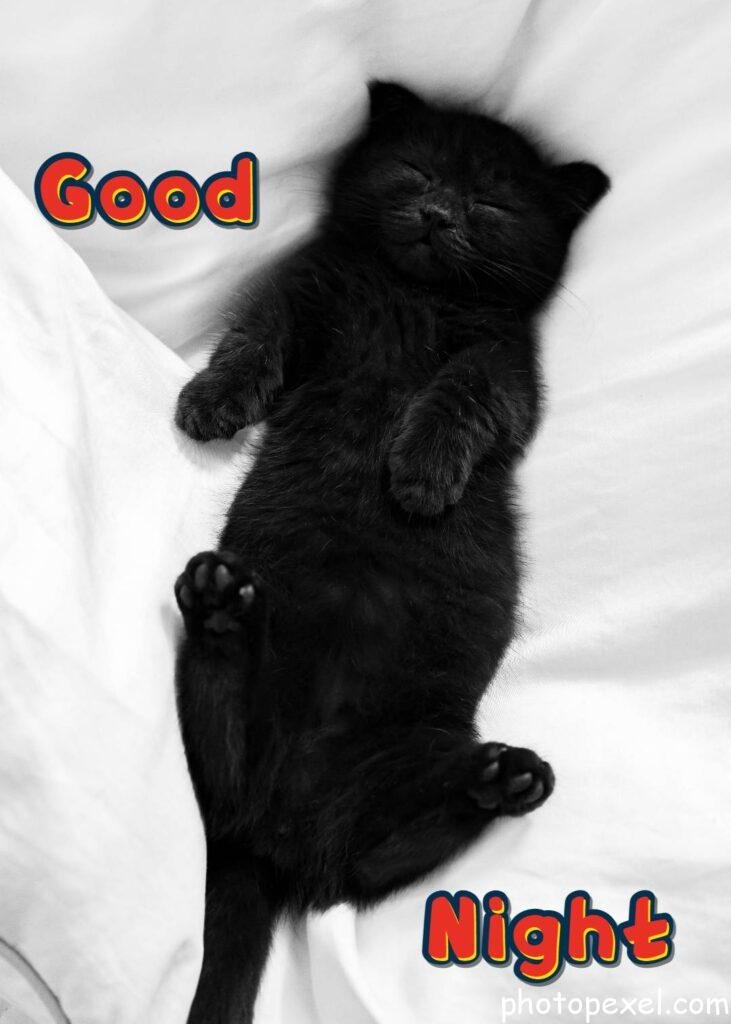 Black-Cat-Lying-On-White-Textile-Good-Night-Images