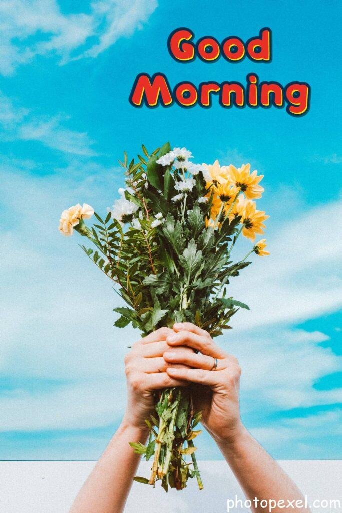 Person-Holding-Yellow-And-White-Flowers-Good-Morning-Images