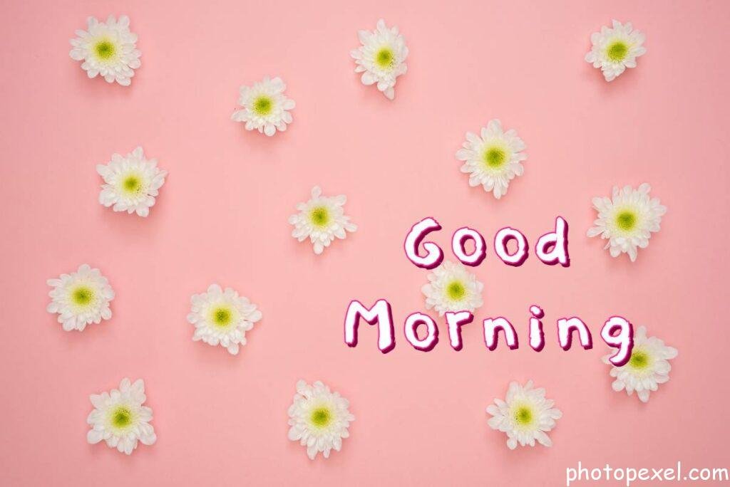 White-And-Yellow-Flower-On-Pink-Wall-Good-Morning-Images