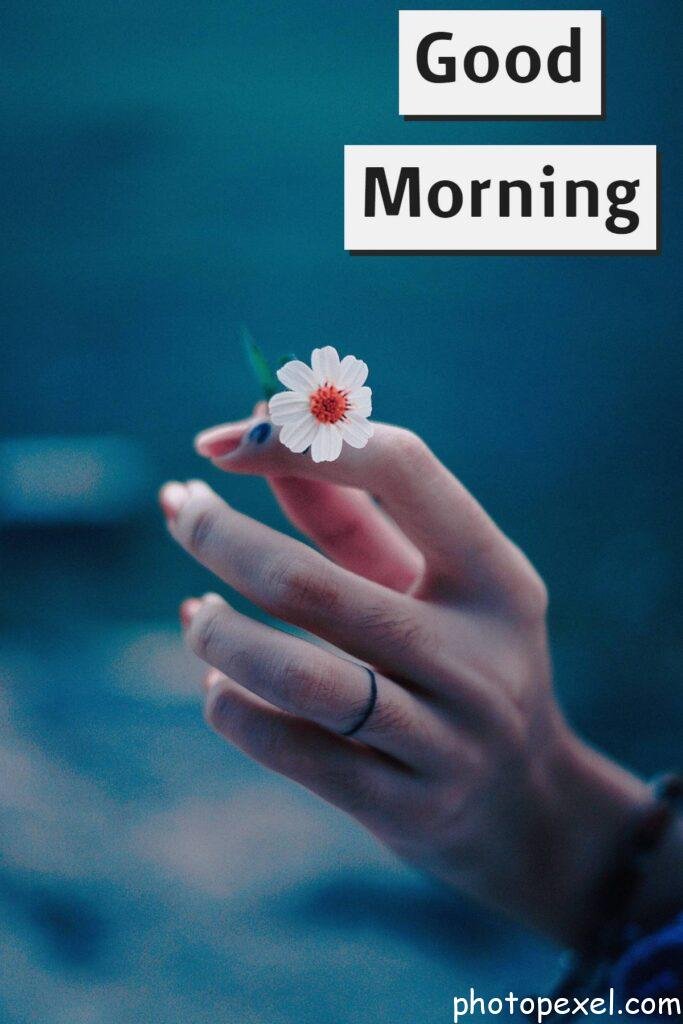 Woman-Holding-A-Tiny-Flower-Good-Morning-Images